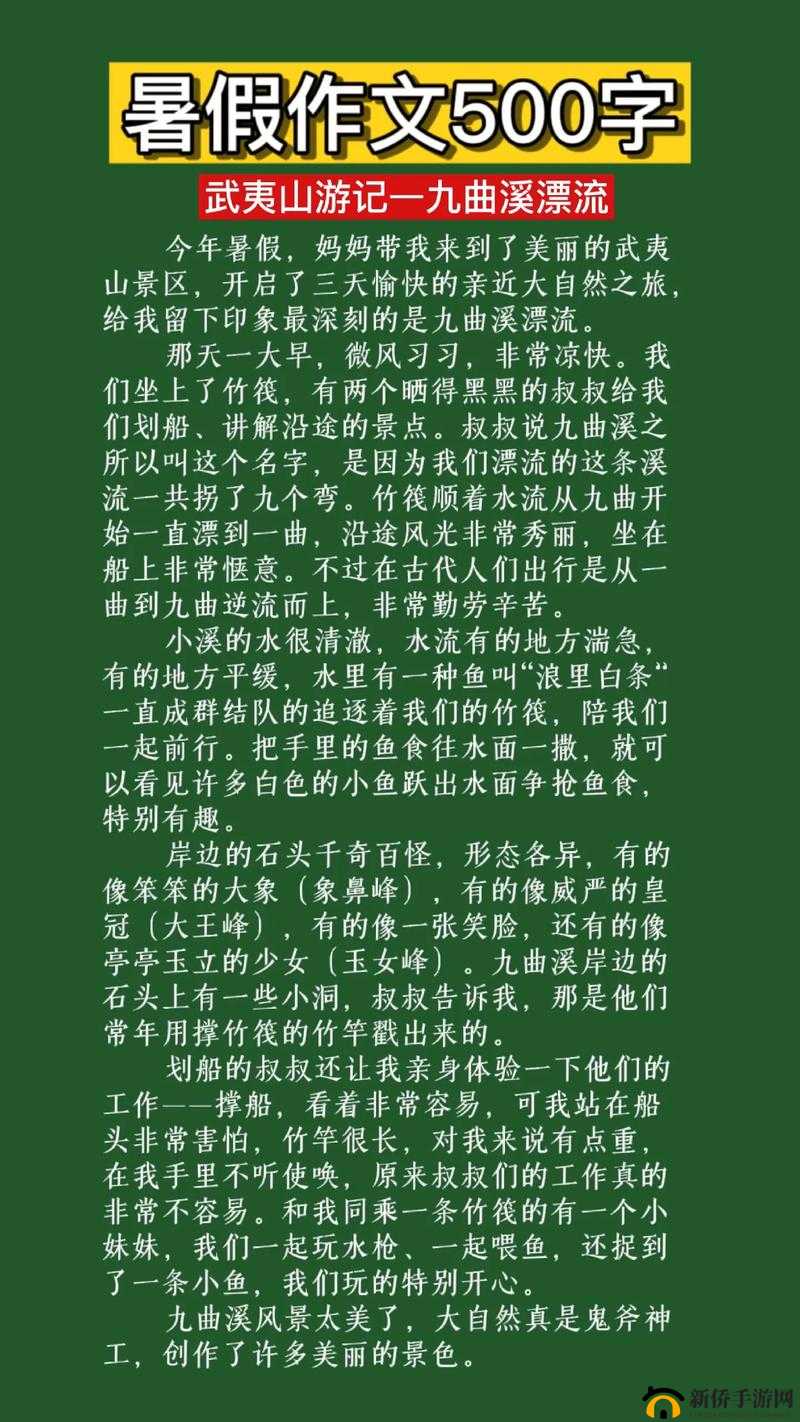 游荡的生活日记：一段充满未知与惊喜的人生旅程