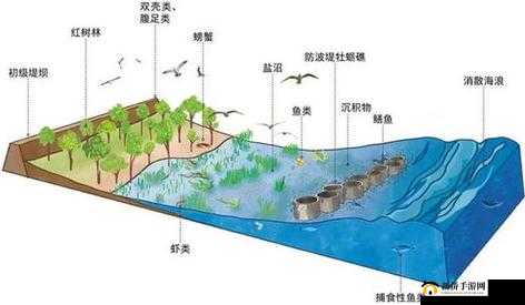 海洋大捕杀游戏攻略，危险环伺下的资源管理重要性与实战策略
