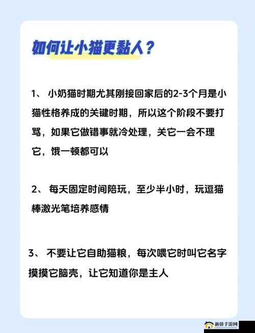 小小上分行动全攻略，从零开始，逐步培养你的游戏小猫咪高手