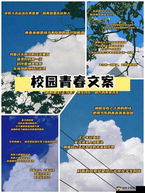 校园 POP1N 高中多场地活动策划：一场青春的狂欢盛宴