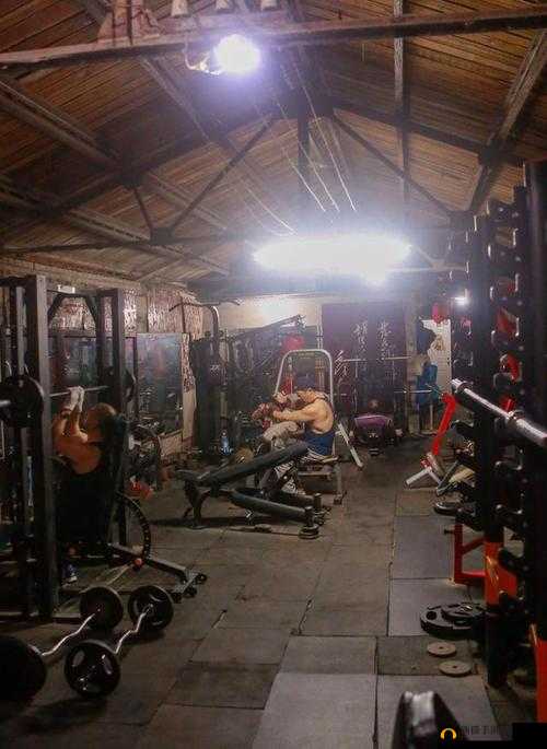 健身房之星全面攻略，从零开始，打造属于你的专属健身帝国之路