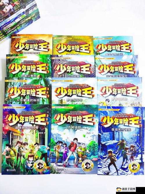 少年冒险王深入宝石世界的奇幻之旅，探索与战斗中的神秘力量与无尽助力