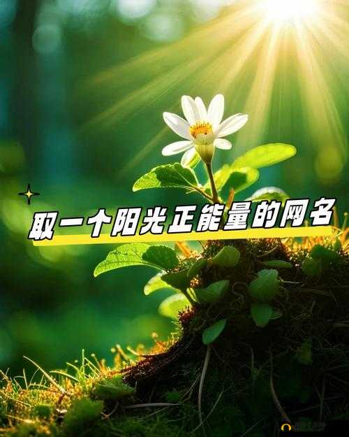 直接进入正能量网站，开启积极向上之旅