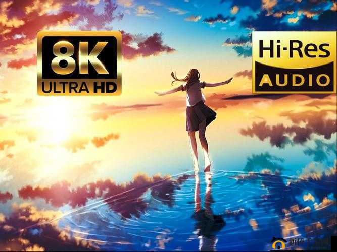 b 站推广网站 2024：打开二次元世界的大门