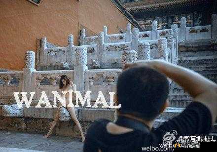 国模裸体按摩：放松身心的极致享受