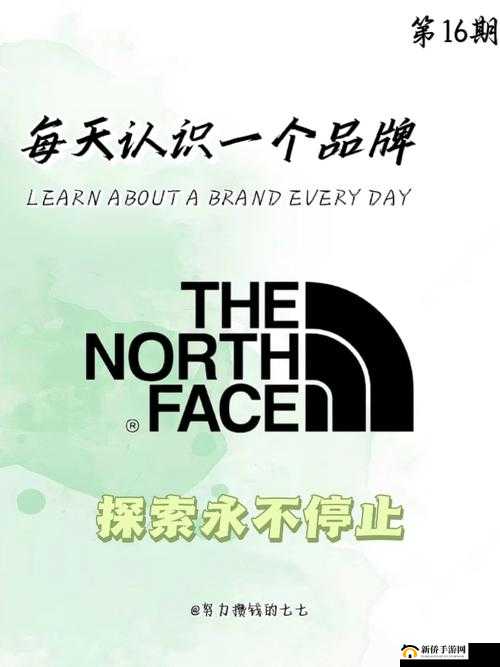 18cmic2022 这一独特标识背后的精彩故事与探索