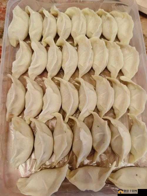 江教授要稳住肉馅小水饺视频：一场别开生面的美食探索之旅