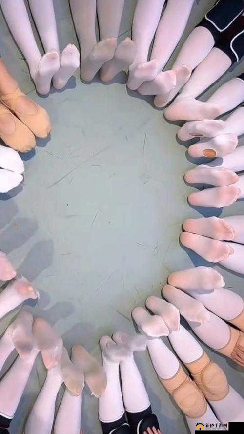 白丝舞蹈生被 C 时娇喘连连令人血脉偾张