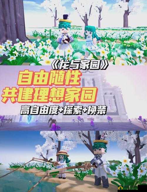 龙与家园游戏，全面解析特色玩法及深度体验指南