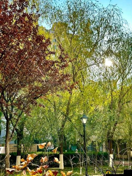 梅开二度公园当着孩子面这一行为引发的深刻思考