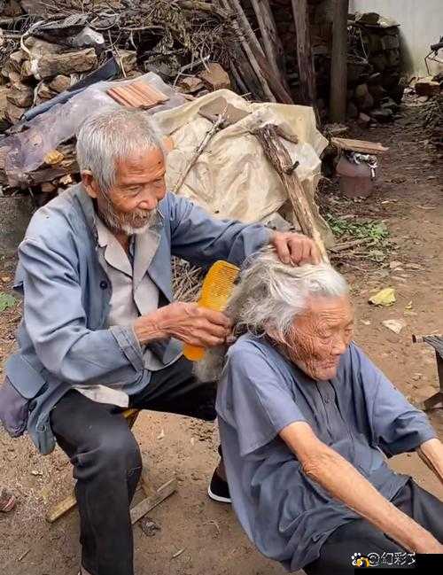 全部老头和老太携手走过岁月的美好回忆与故事