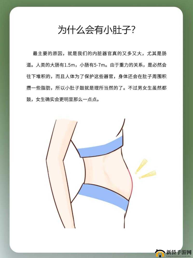 小肚子灌得鼓鼓的：探究其形成原因与健康影响