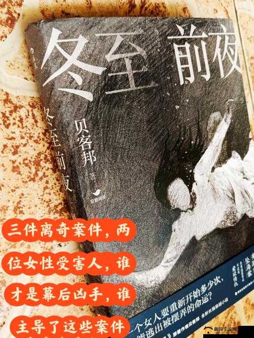 老王和苏荷笔趣阁：一段精彩绝伦的故事之旅就此开启