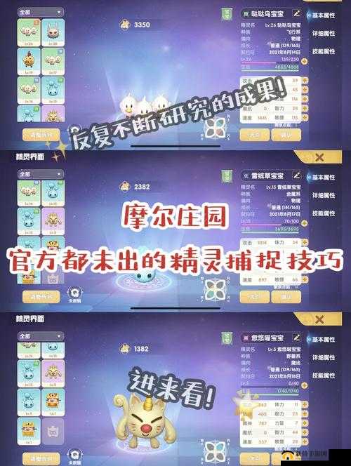 摩尔庄园抓兔子攻略，详解在雪山与浆果丛林捕捉兔子的方法与技巧