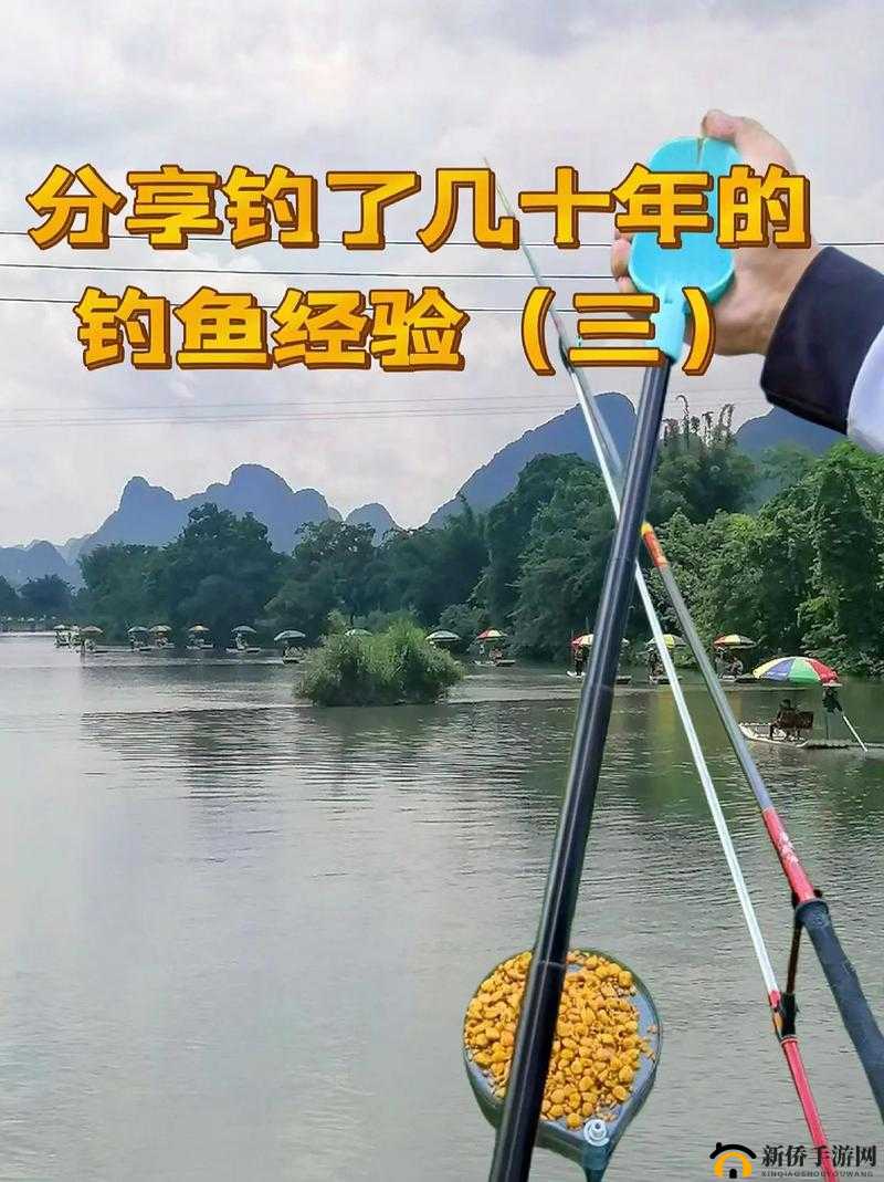 资深游戏老玩家揭秘，轻松掌握获取高级鱼饵的实用技巧