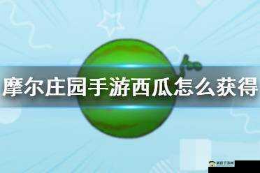摩尔庄园夏日水果成熟季，全面攻略教你如何获取甜美西瓜