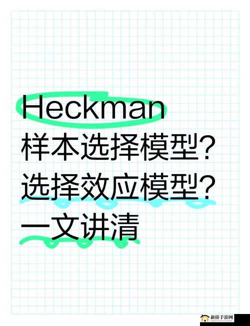 双夫1v2 现代模式背后的社会变革之深入探究与全面分析