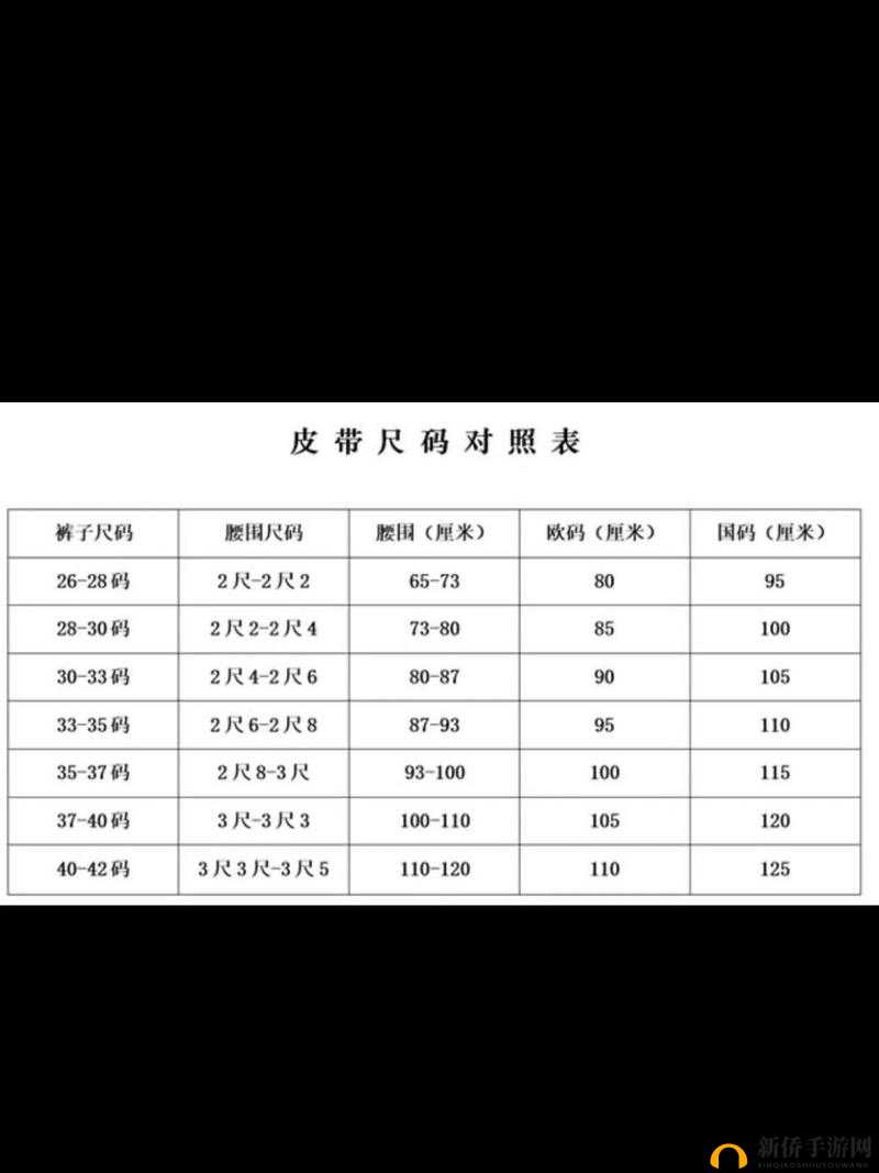 国产尺码和欧洲尺码视频：全面对比与精准解读