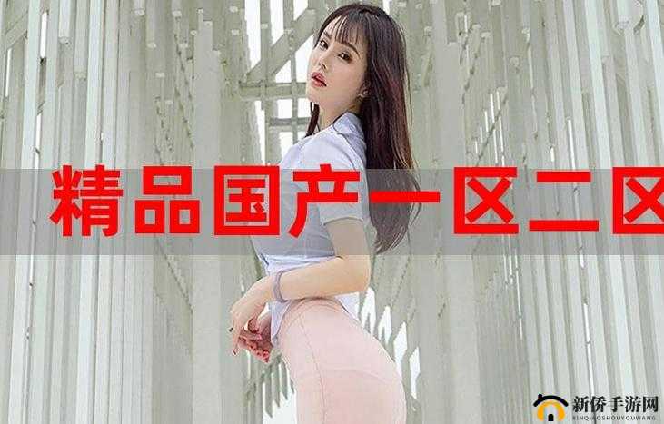 国精产品一二三区具体区别究竟在哪