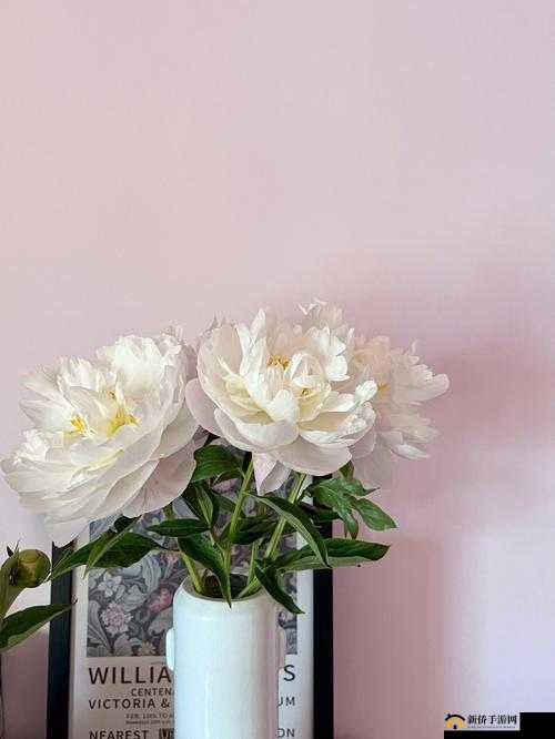 香软玉滑-林芍药-之美丽动人的故事篇章