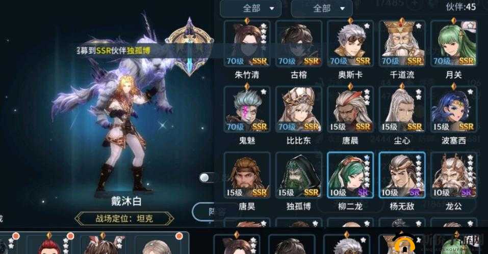 斗罗大陆斗神再临，角色深度剖析及全面防雷实战指南