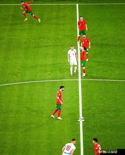绿茵王者绿茵球宝深度解析，带你激情观赏欧洲杯决赛驰骋绿茵赛场盛况
