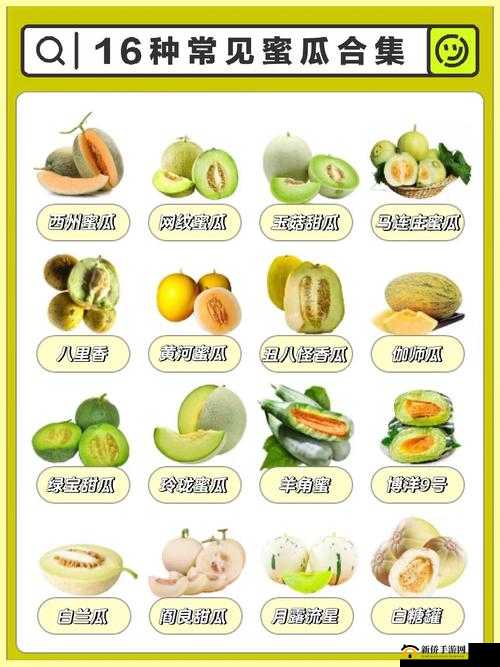 摩尔庄园探索之旅，哈密瓜的甜蜜获取方式及其多样化利用技巧
