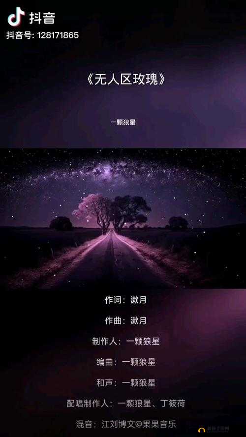 探索无人区玫瑰MV背后的故事：神秘玫瑰在无人区的绽放与寓意