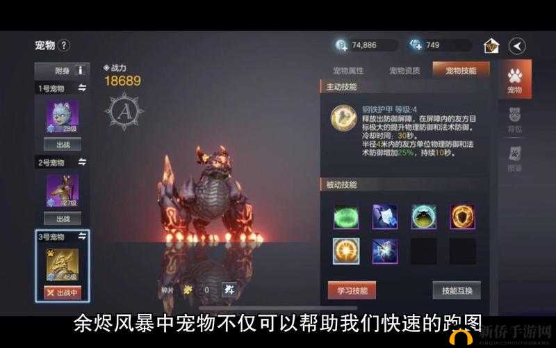 余烬风暴宠物捕获全攻略，掌握策略、高效管理，实现价值最大化
