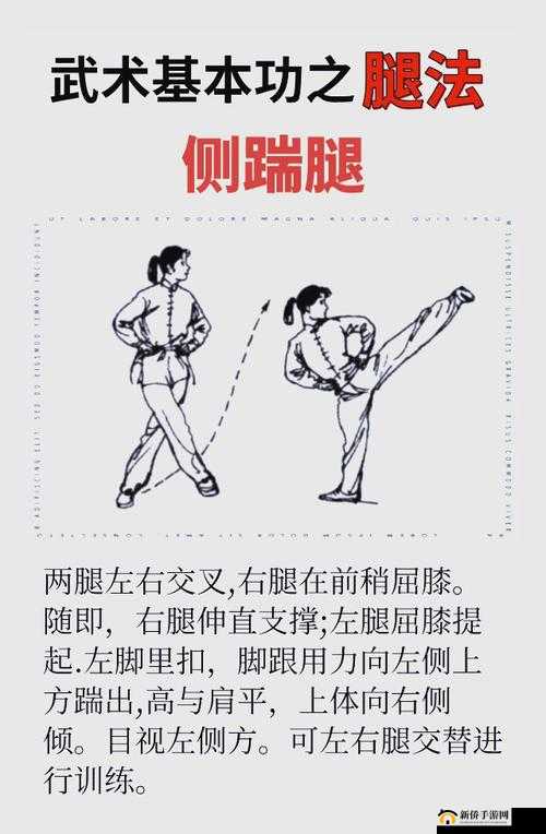 掌握伽罗腿法娴熟脚法的秘诀：提升武术技巧的实用指南与训练方法