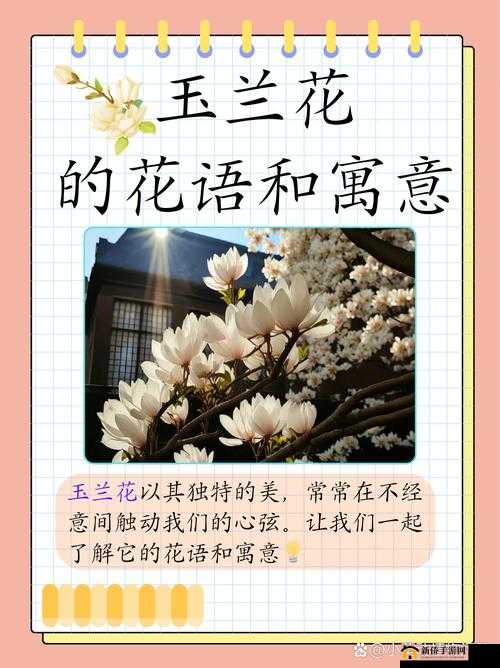 亭亭玉立国色天香四月天：揭秘春季花卉的美丽与养护技巧