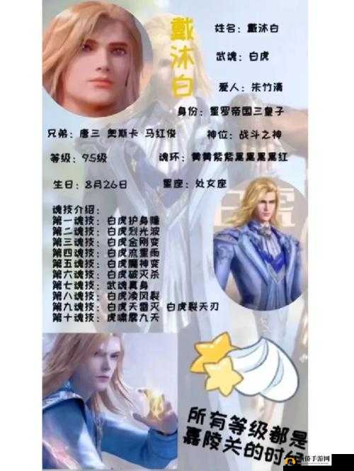 斗罗大陆武魂觉醒戴沐白强攻系魂师阵容搭配及技能解析全攻略