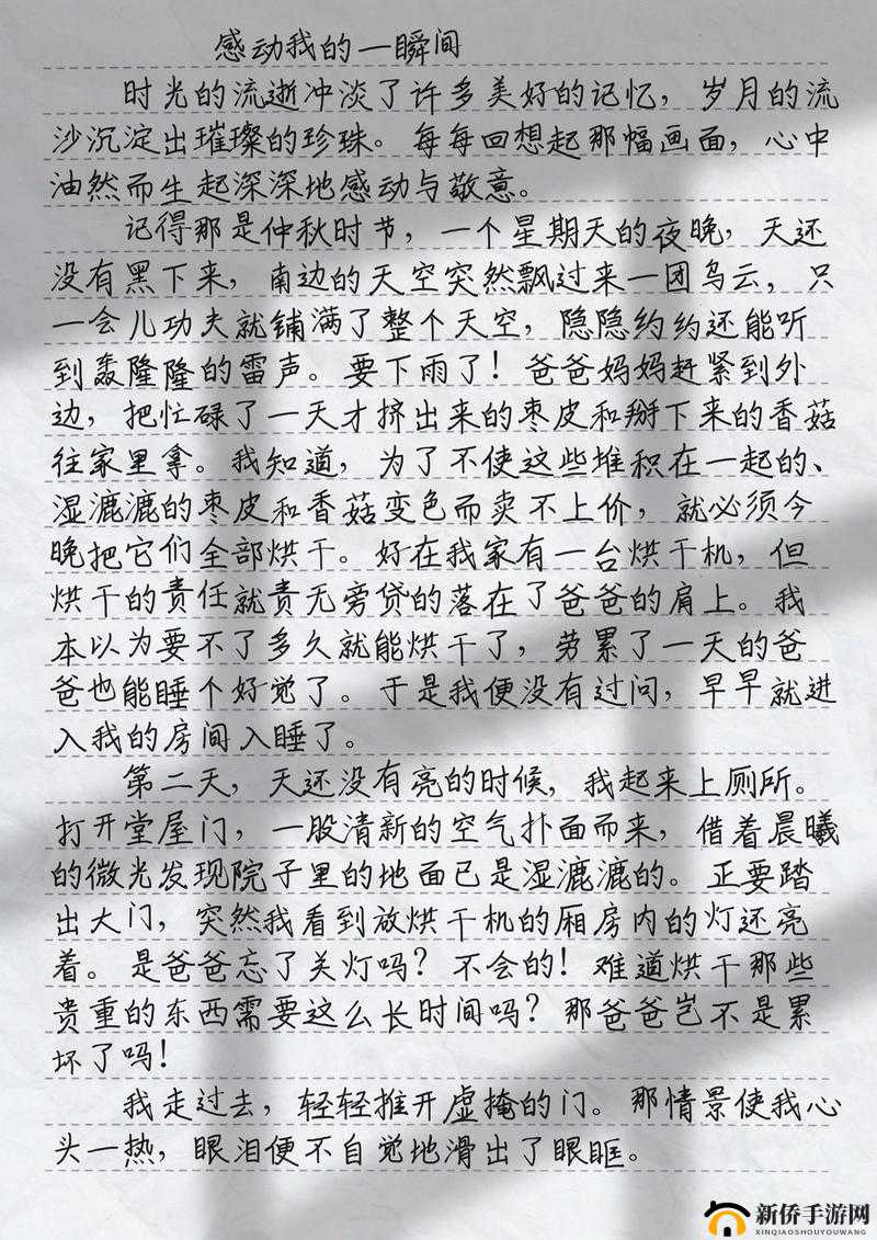 53岁沈阳老阿姨叫的没谁了，网友热议背后的故事与感动瞬间