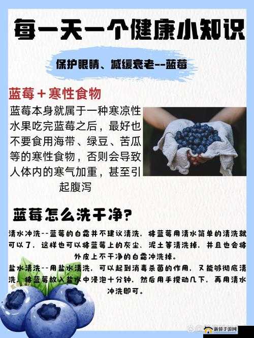 蓝莓污污污：揭秘这款网红水果背后的健康秘密与美味吃法