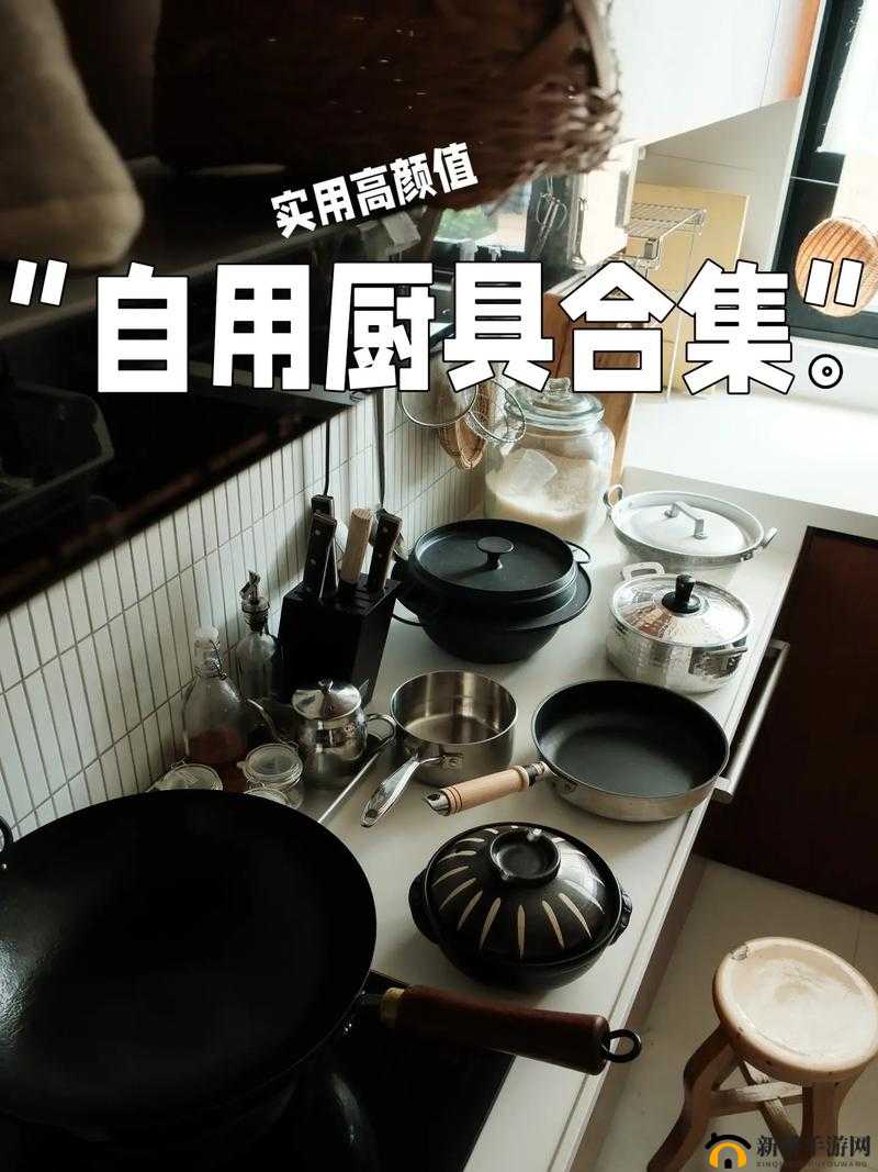 厨房挺人XXXX猛交：揭秘现代家庭厨房中的高效烹饪技巧与实用工具推荐