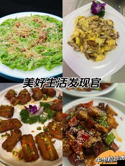 爆炒美人兄长的一百种方法：揭秘最受欢迎的烹饪技巧与创意食谱大公开