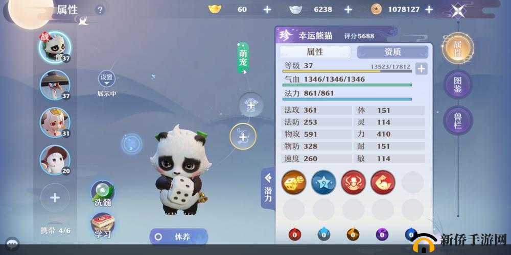 深度解析梦幻新诛仙中幸运熊猫的表现，效果、特点全面分享