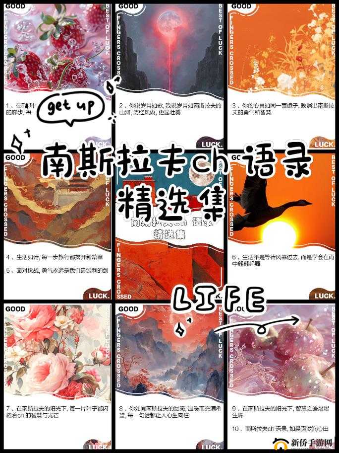 探索南斯拉夫XXXX性HD极品的独特魅力：历史背景与文化影响深度解析