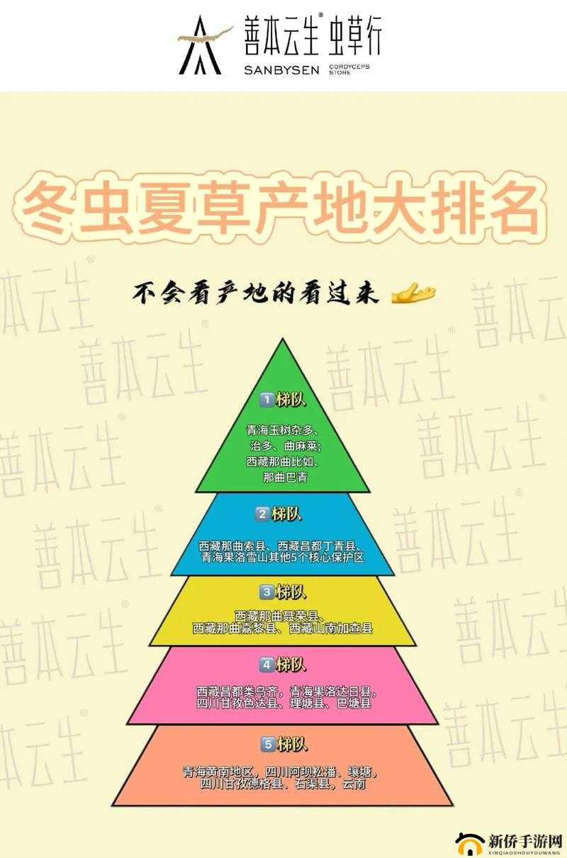 探索嫩草精产一二三产区的独特魅力：从产地到品质的全面解析