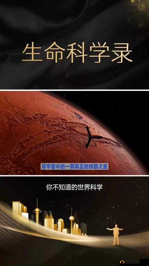 火星，探索与开拓的新篇章，重塑人类对未来梦想的边疆