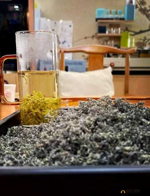 温茶poH的独特魅力：如何通过温茶poH提升生活品质与健康？