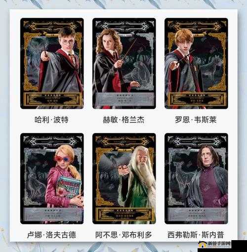 哈利波特驻场卡全面解析，资源管理技巧、高效利用策略及价值最大化指南