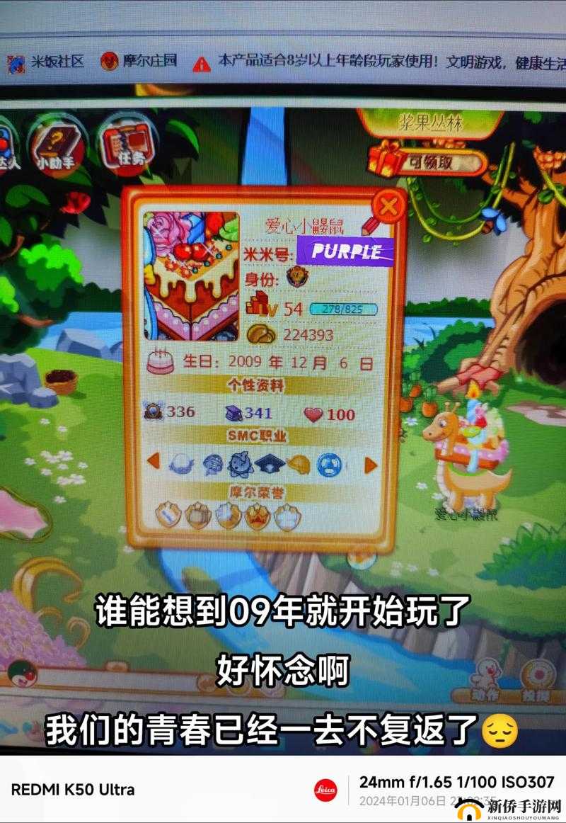 摩尔庄园手游深度解析，好友系统玩法、互动与社交功能全指南