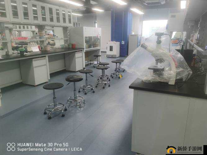 全面解析，心动实验室玩法指南，包括匹配规则、取消实验及结束聊天方法