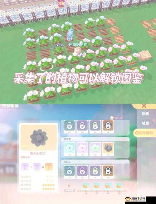 摩尔庄园农庄拍照任务全攻略，掌握高效管理与资源利用的艺术技巧