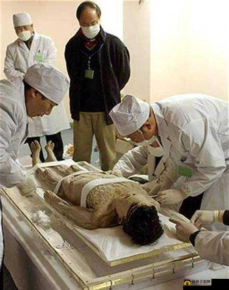 探秘古墓，跟随守陵人脚步，揭开尘封千年的历史之谜