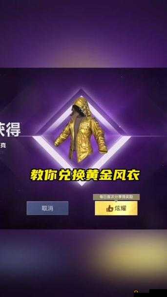 黄金精英玩家必看，如何领取炫酷皮肤？详细操作攻略揭秘！