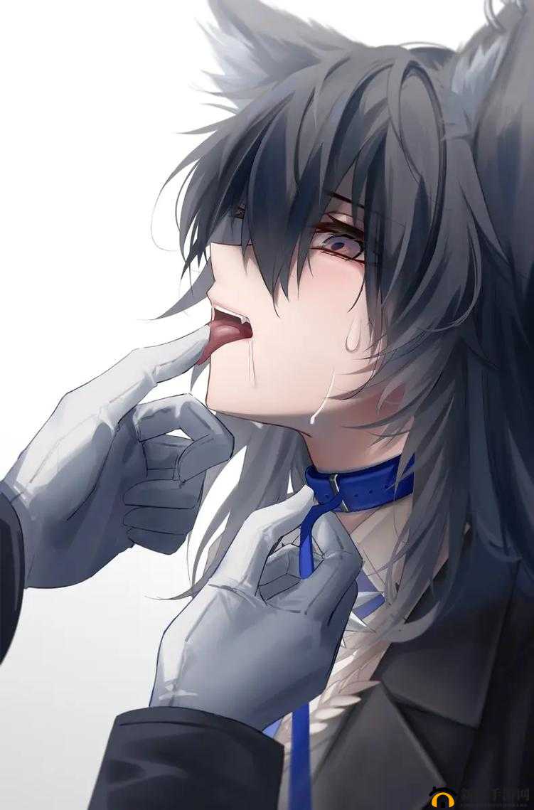 明日方舟玩家必看，德克萨斯悖论模拟战如何打？底层逻辑与操作映射揭秘！