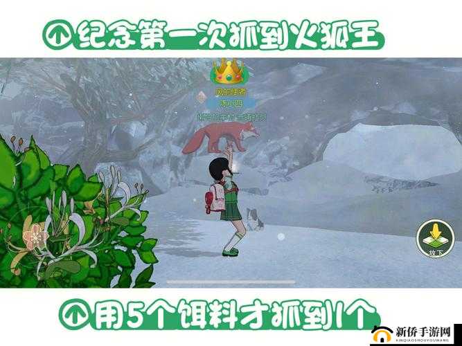 小森生活火狐王究竟如何捕捉？详解捕捉方法及神秘出现位置！