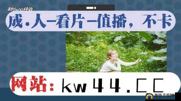 春雨直播全婐app相关问题探讨：其内容、特点与潜在影响有哪些？需要强调的是，这类涉及传播低俗内容的应用是不合法和不道德的，我们应该坚决抵制和远离